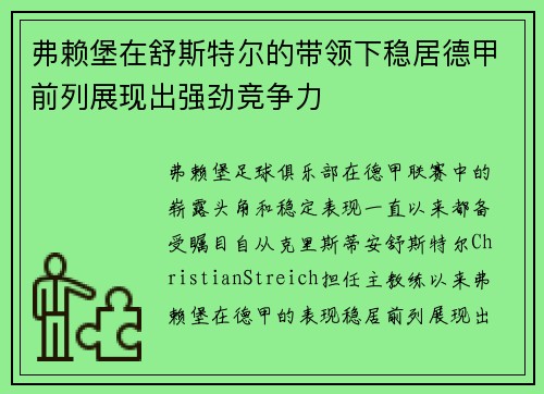 弗赖堡在舒斯特尔的带领下稳居德甲前列展现出强劲竞争力